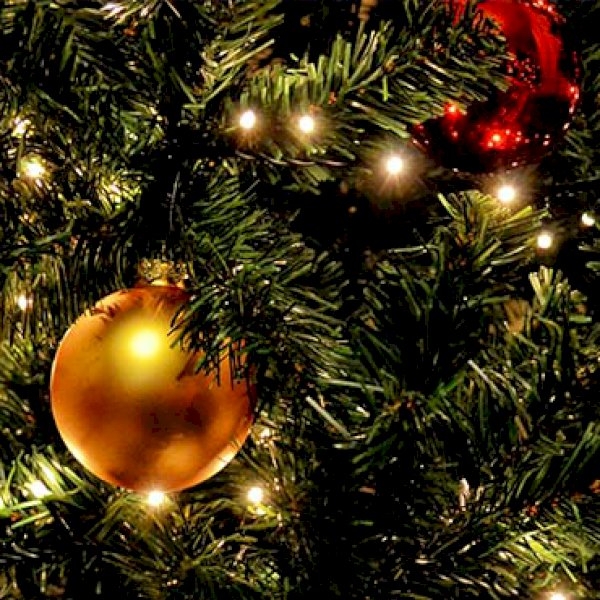 Christmas 2021 Trends